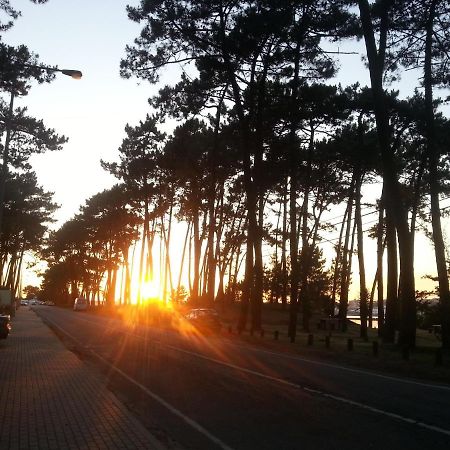 Cabedelo Beach House Viana do Castelo Eksteriør billede
