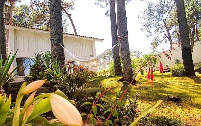 Cabedelo Beach House Viana do Castelo Eksteriør billede