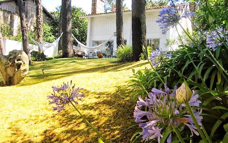Cabedelo Beach House Viana do Castelo Eksteriør billede